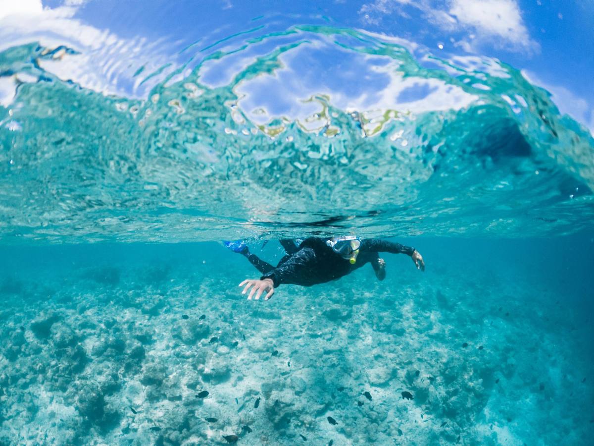 A snorkeller in clear turquoise water over a coral reef